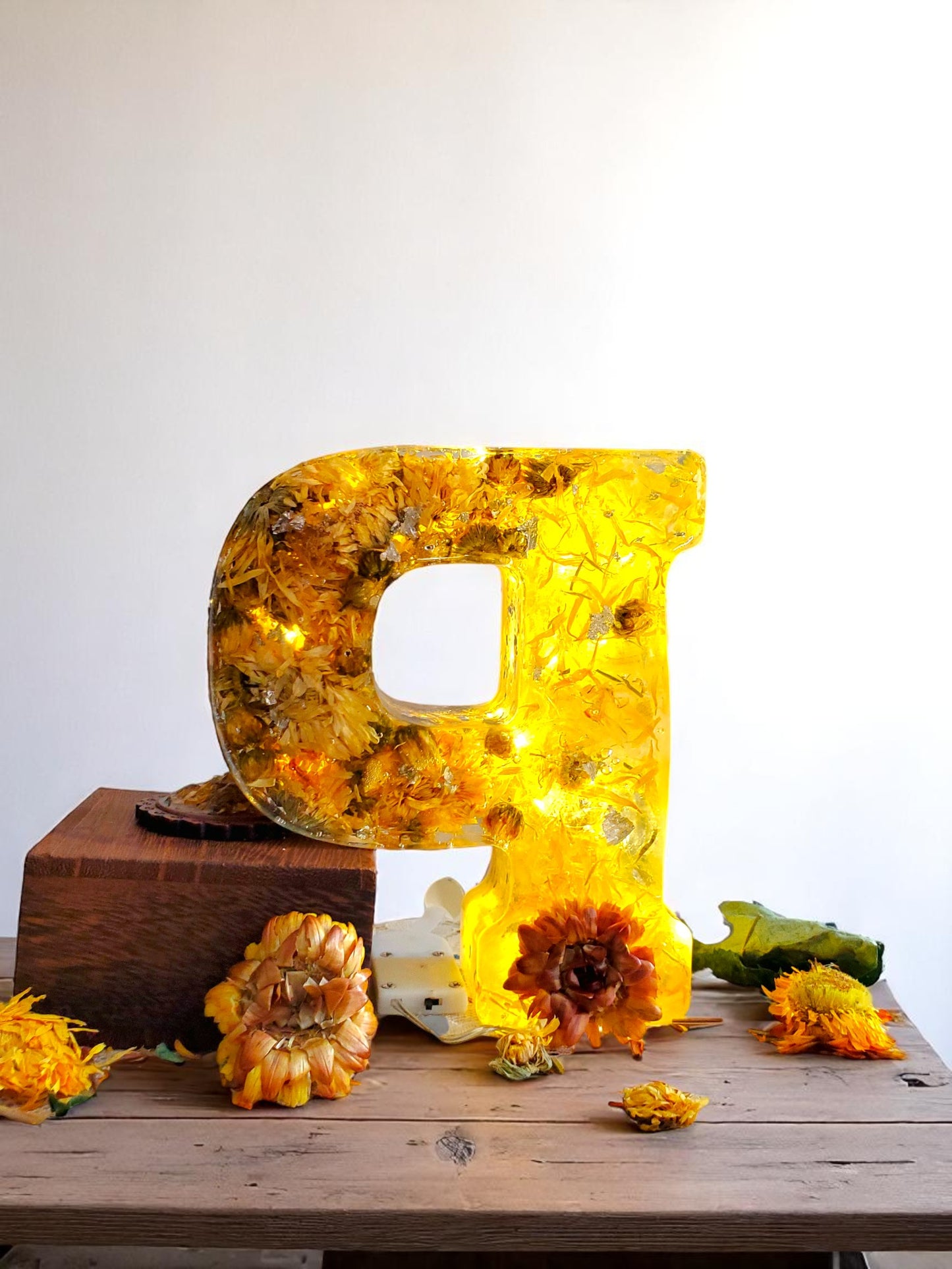 Custom LED Resin Letter | Real Dried Flowers | Personalized Floral Keepsake | Gift for Her, Baby Name Decor, Memorial Letter | Holiday Decor
