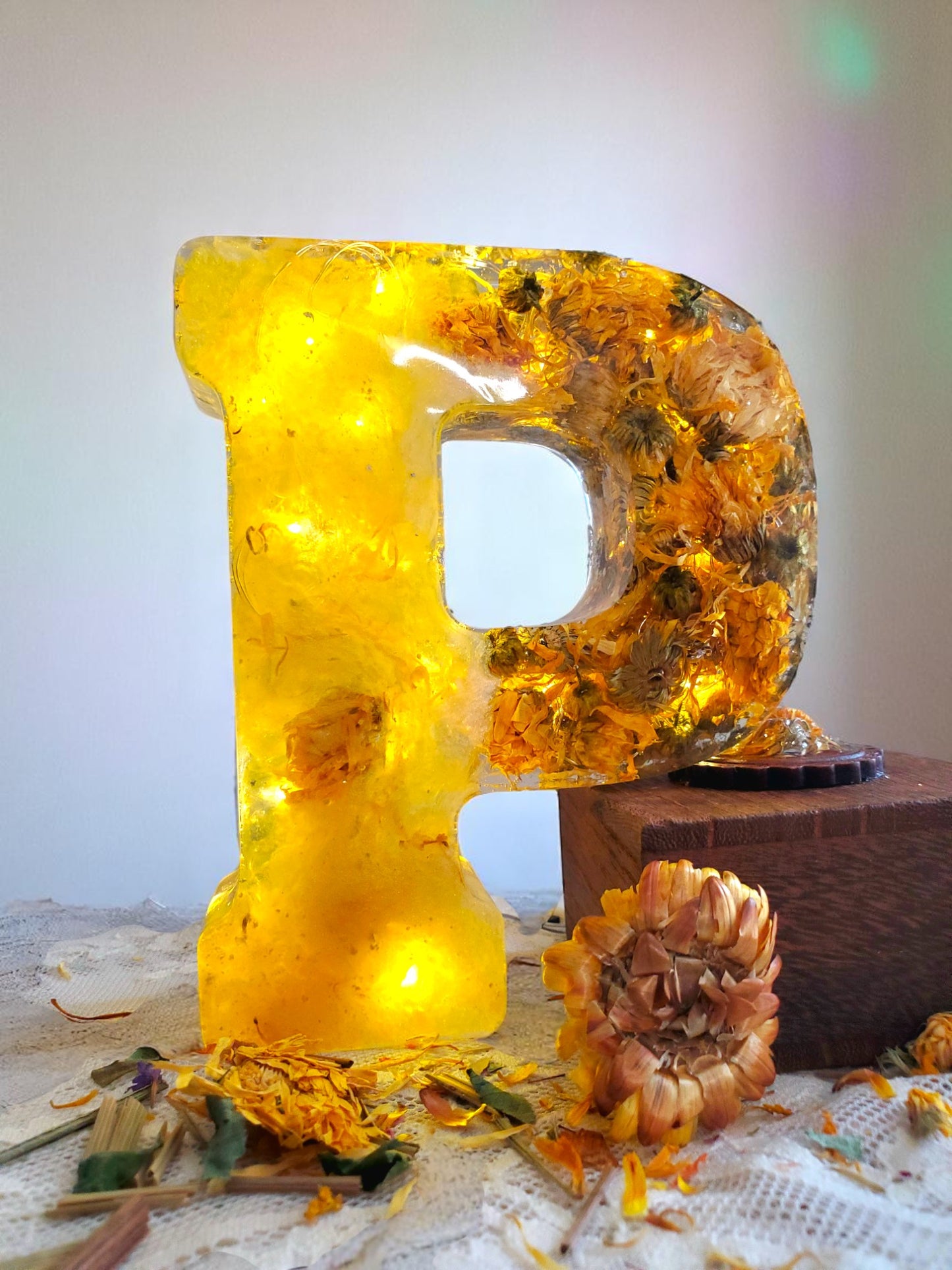 Custom LED Resin Letter | Real Dried Flowers | Personalized Floral Keepsake | Gift for Her, Baby Name Decor, Memorial Letter | Holiday Decor