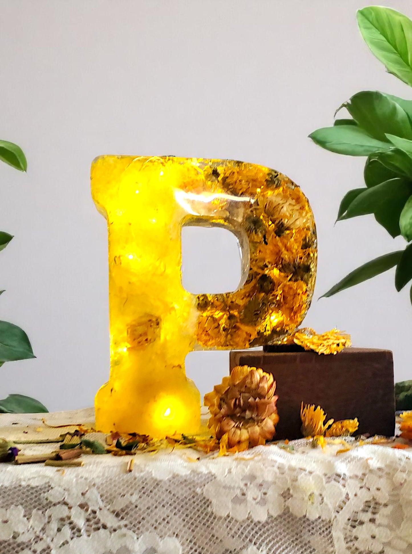 Custom LED Resin Letter | Real Dried Flowers | Personalized Floral Keepsake | Gift for Her, Baby Name Decor, Memorial Letter | Holiday Decor