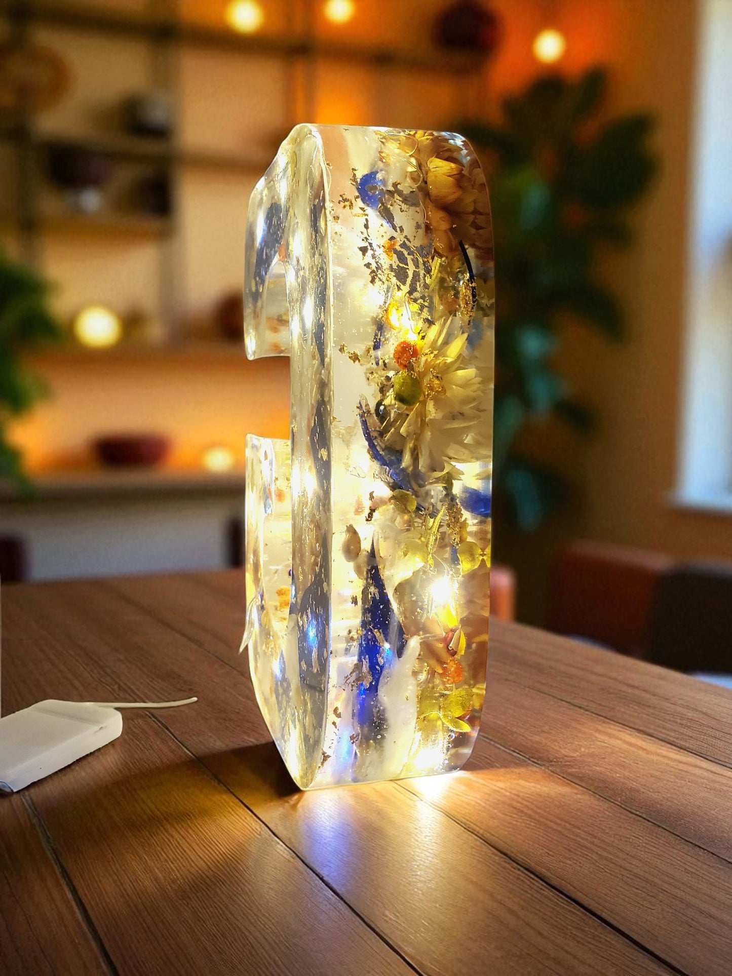 Custom LED Resin Letter | Real Dried Flowers | Personalized Floral, Clear Epoxy Resin | Family Decor Letter, Night Light, Birth Month Flower