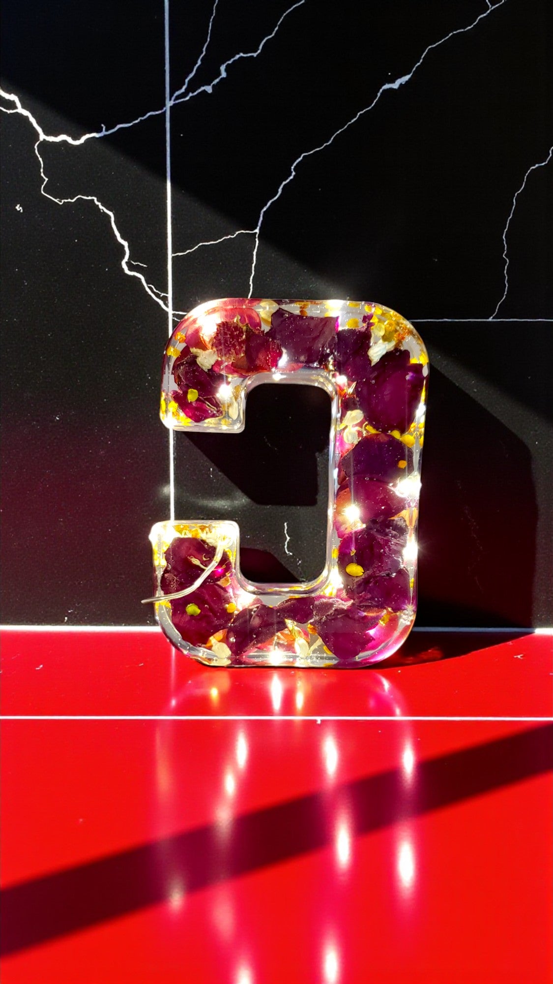 Custom LED Resin Letter with Dried Flowers | Real Dried Flowers | Personalized Floral Keepsake Gift | Holiday Decor | Gift for Home Decor