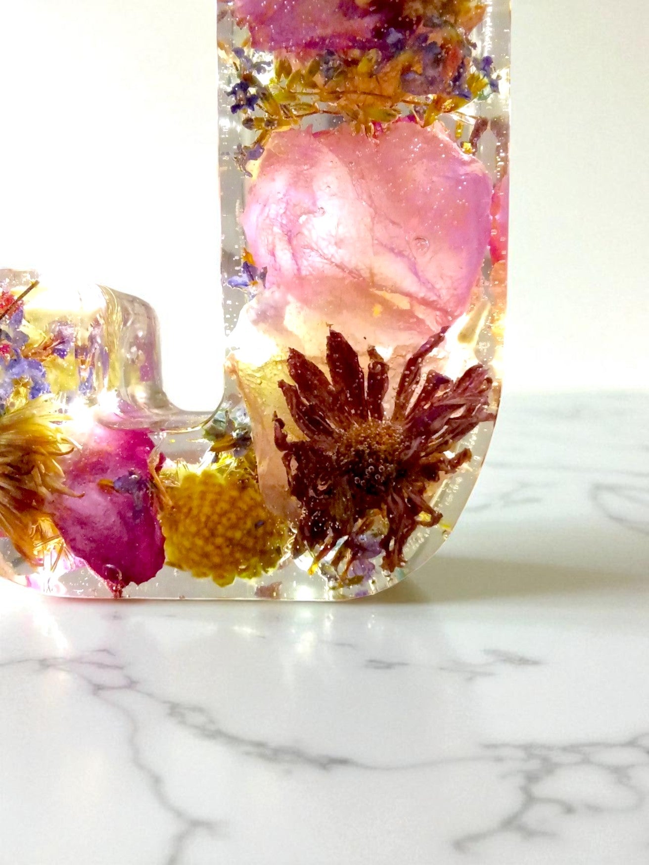 Illuminated Letters | Made For You | Light up Letter | Clear Epoxy Resin | Dried Flowers | Birth Flower | Made For You | Personalized Decor