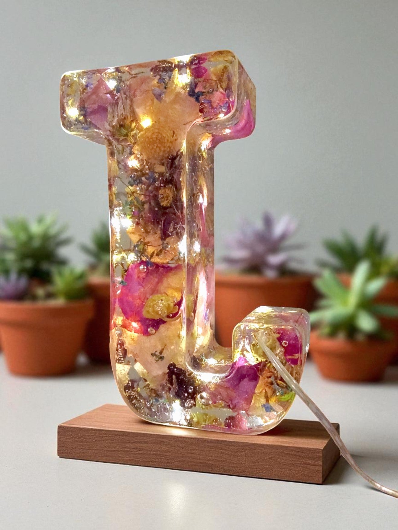 Illuminated Letters | Made For You | Light up Letter | Clear Epoxy Resin | Dried Flowers | Birth Flower | Made For You | Personalized Decor